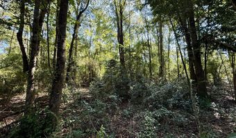 Tbd Williams, Brookhaven, MS 39601