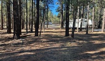 CR N2121, Alpine, AZ 85920