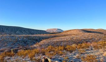 ERR State Hwy 118 S, Alpine, TX 79830