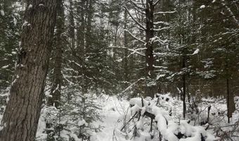 9606 MUNGER Rd, Afton, MI 49705