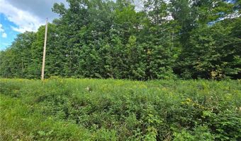 Tbd 162nd Street, Apple River, WI 54001