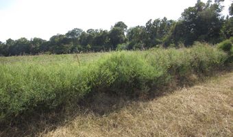 Baxter Rd, Ashford, AL 36312