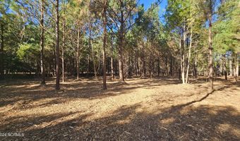 22 Peterson Creek Rd, Aurora, NC 27806