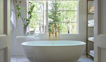 500 W Smuggler St, Aspen, CO 81611