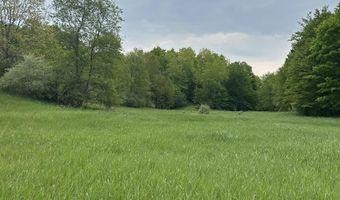 9196 NW Manley Rd, Alden, MI 49612