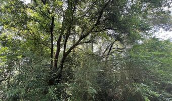 Rocky Creek Road, Ashford, AL 36312