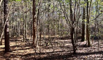 Chief Rd, Abbeville, AL 36310