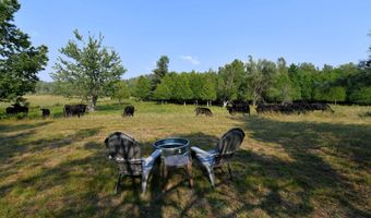 9537 LAKEVIEW Rd, Alanson, MI 49706