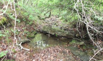 E Mountain Road, Bee Branch, AR 72013