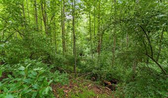 15160 QUAIL RIDGE Dr, Amissville, VA 20106