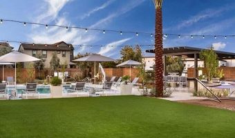 1323 W BLUEJAY Dr, Chandler, AZ 85286