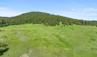 Tract 9 Lone Elk Ranch, Alva, WY 82711