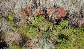 00001 Hwy 369, Ball Ground, GA 30107