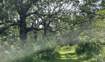 11138 State Highway O, Ava, MO 65608