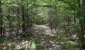 00 Simonsville Rd Lot 3, Andover, VT 05143
