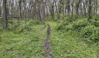 168 Th St, Albia, IA 52531