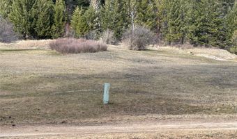 Nhn Mountain Drive, Alberton, MT 59820