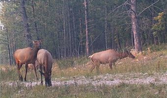336 Middle Fork Rd, Devils Tower, WY 82714