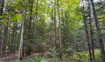 County Road Y, Aniwa, WI 54408