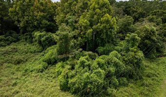 7 02 Acres Monroe E, Ashburn, GA 31714