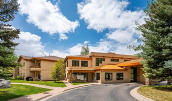 1400 E Valley Rd 110, Basalt, CO 81621