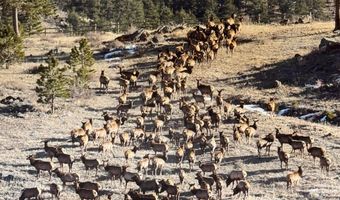 9200 Old Flowers Rd, Bellvue, CO 80512