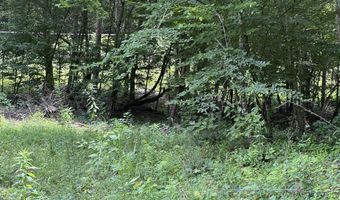 TBD Paint Fork Rd, Barnardsville, NC 28709