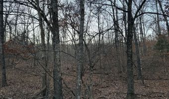 County Road 204, Alton, MO 65606