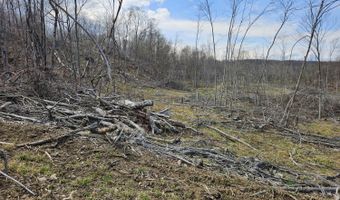 295 Shellstone Rd, Amsterdam, NY 12010