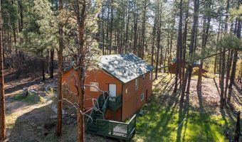 862 Pine Valley Rd, Bayfield, CO 81122