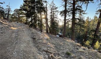 Ironwood, Angelus Oaks, CA 92305