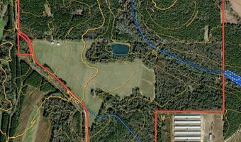 County Road 127, Banks, AL 36005