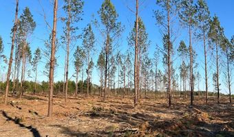 001 Old Camden Rd 1, Bishopville, SC 29010