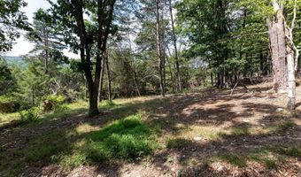ALUM SPRINGS RD, Basye, VA 22810