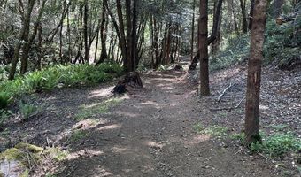 Agness-Illahe Rd, Agness, OR 97406