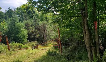 V/L 20AC Monaghan Point Road, Alpena, MI 49707