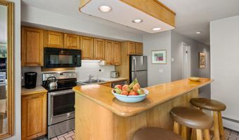 728 S Galena St 202-B, Aspen, CO 81611
