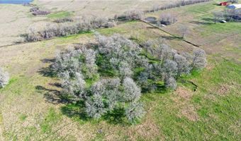 Tbd Tract 5 Fm-2819, Anderson, TX 77830