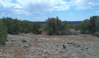 74 Co Rd, Concho, AZ 85924