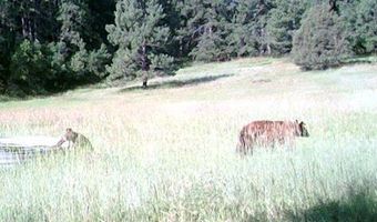 28111 County Rd 41.4, Aguilar, CO 81020