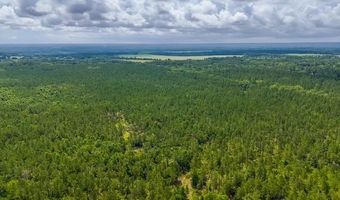 1990 River Rd, Bainbridge, GA 39817