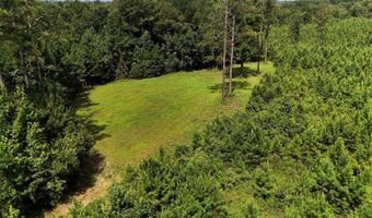 County Road 25, Banks, AL 36005