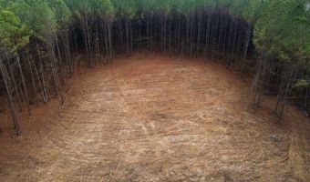 00002 Trickhambridge Rd, Brandon, MS 39042