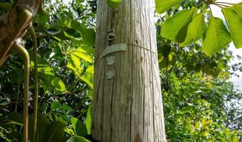 2 Nd Ave, Keaau, HI 96749