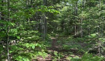 599 Mile Square Rd, Avon, ME 04966