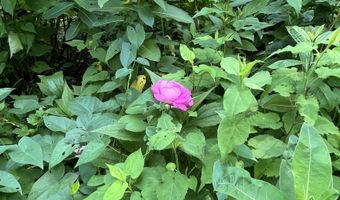 16 Germain St, Burlington, VT 05401