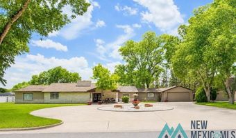 1005 N Shore Dr, Carlsbad, NM 88220
