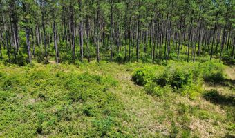0 Orem Rd, Bay Minette, AL 36507