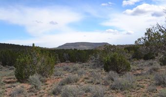 32 N8544 398, Concho, AZ 85924