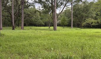 10901 Hall Dr, Axis, AL 36505
